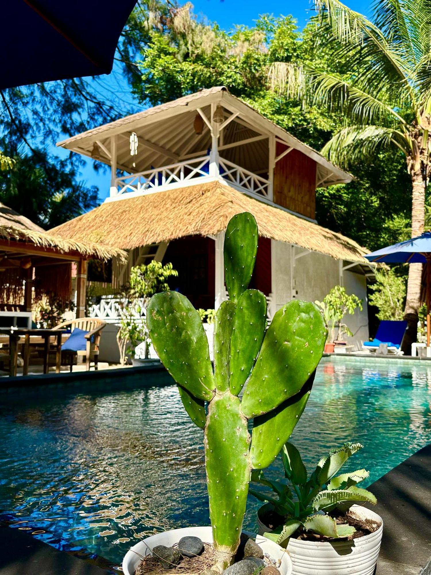 Alibaba Bungalows غيلي آير المظهر الخارجي الصورة