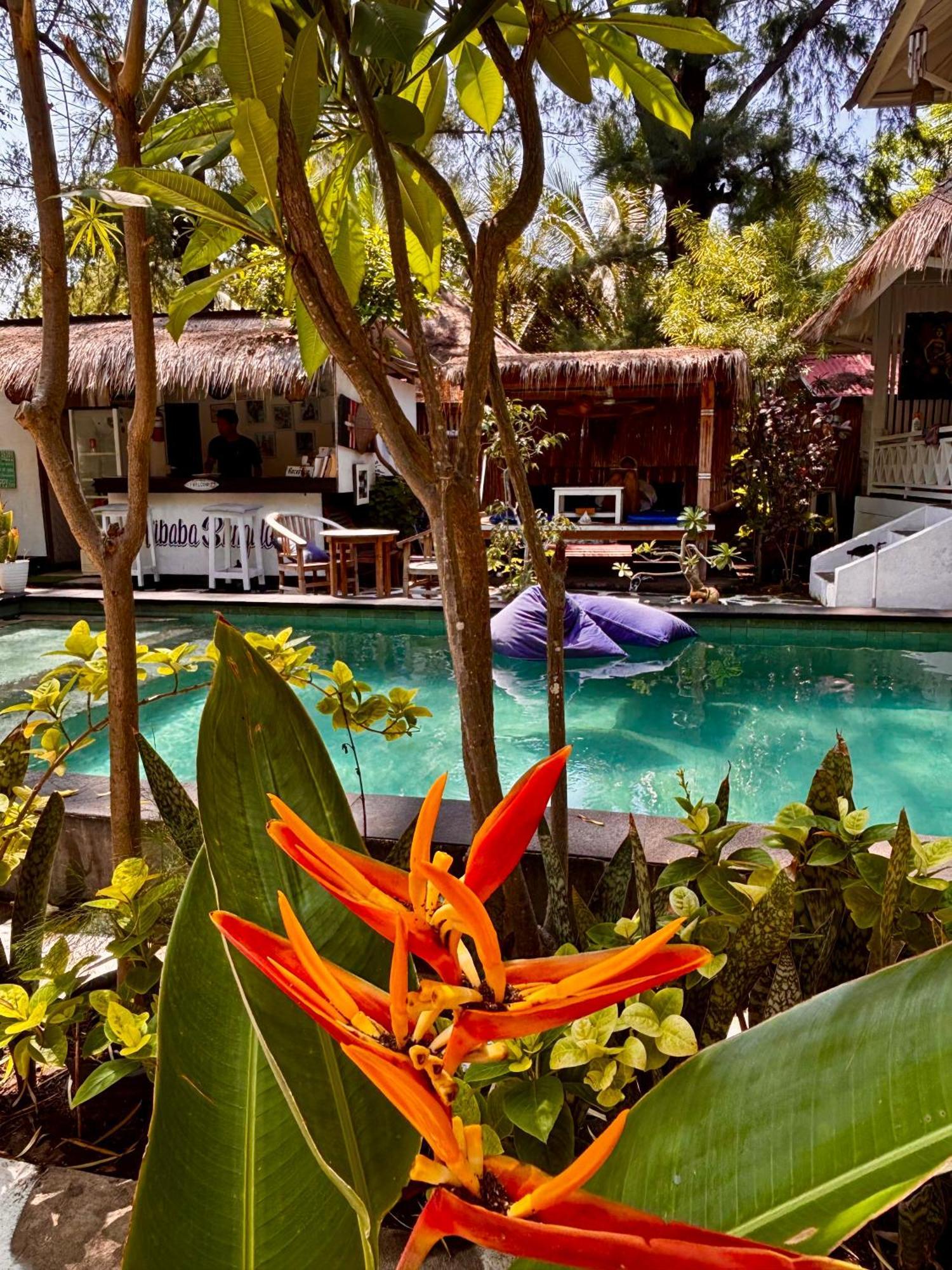 Alibaba Bungalows غيلي آير المظهر الخارجي الصورة